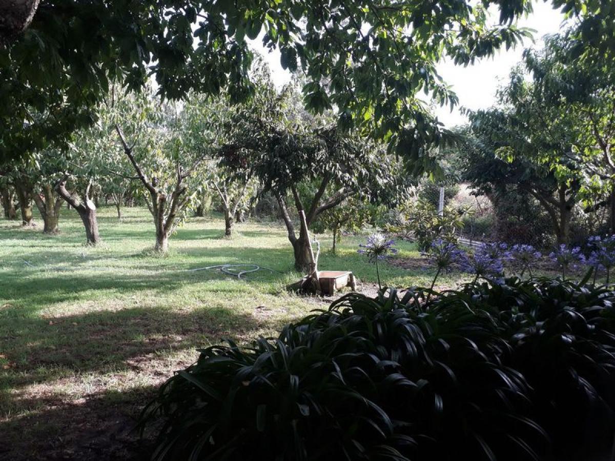 Picture of Home For Sale in General Pueyrredon, Buenos Aires, Argentina