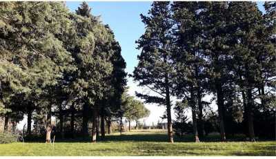 Residential Land For Sale in