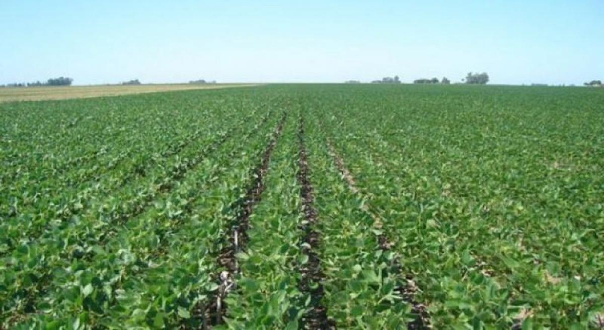 Picture of Home For Sale in Zarate, Buenos Aires, Argentina