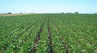 Home For Sale in Zarate, Argentina