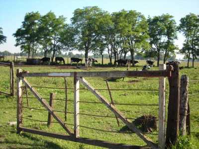 Home For Sale in Canuelas, Argentina