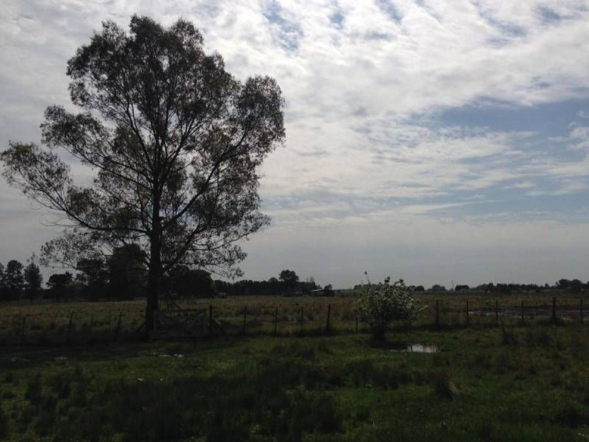 Picture of Home For Sale in Canuelas, Buenos Aires, Argentina