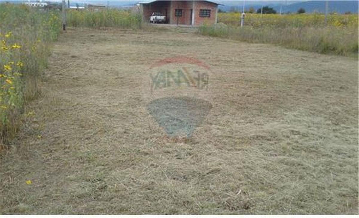 Picture of Residential Land For Sale in Salta, Salta, Argentina