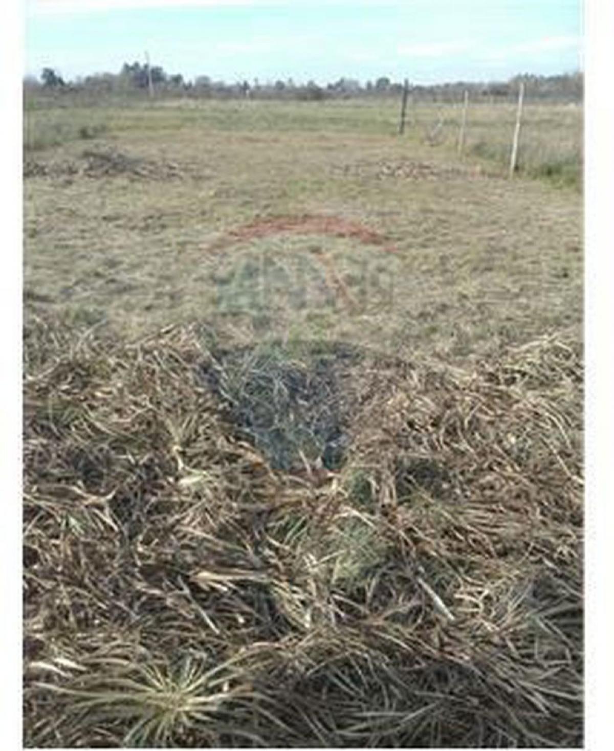Picture of Residential Land For Sale in Merlo, Buenos Aires, Argentina