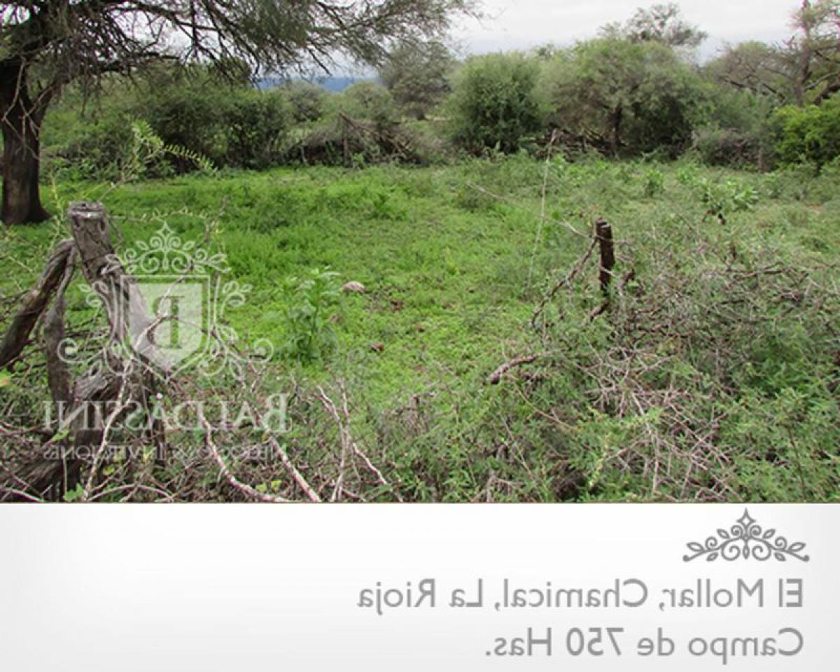 Picture of Home For Sale in La Rioja, La Rioja, Argentina