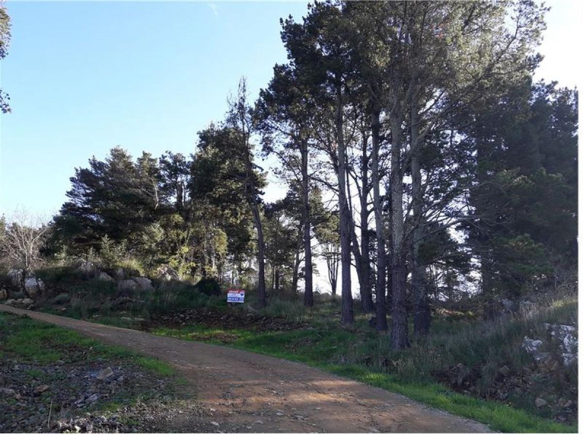 Picture of Residential Land For Sale in Tandil, Buenos Aires, Argentina