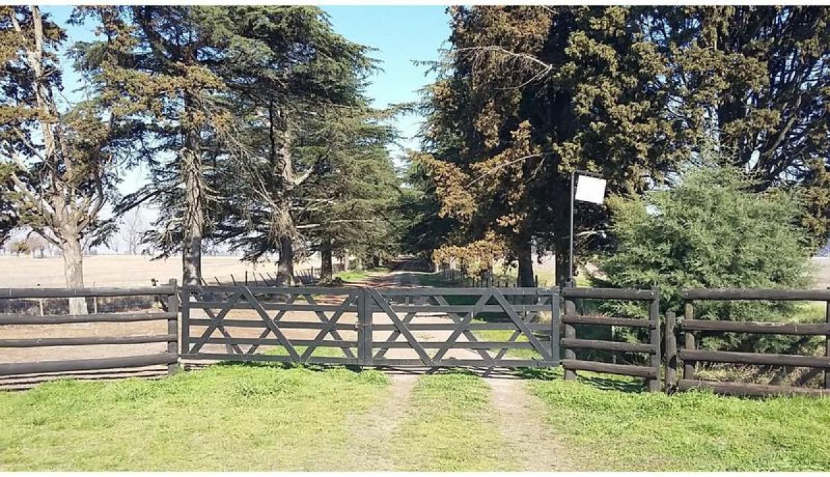 Picture of Home For Sale in Arrecifes, Buenos Aires, Argentina