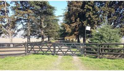 Home For Sale in Arrecifes, Argentina