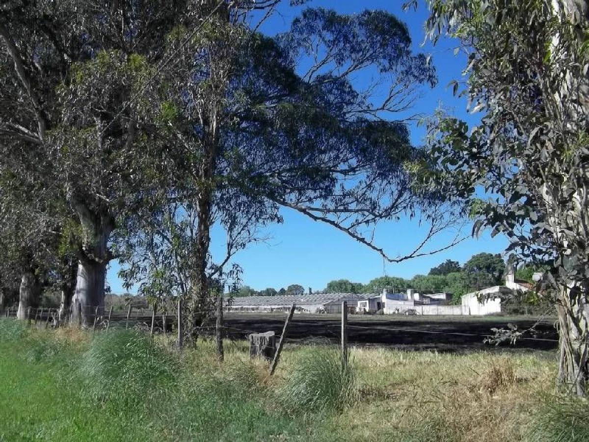 Picture of Residential Land For Sale in General Pueyrredon, Buenos Aires, Argentina