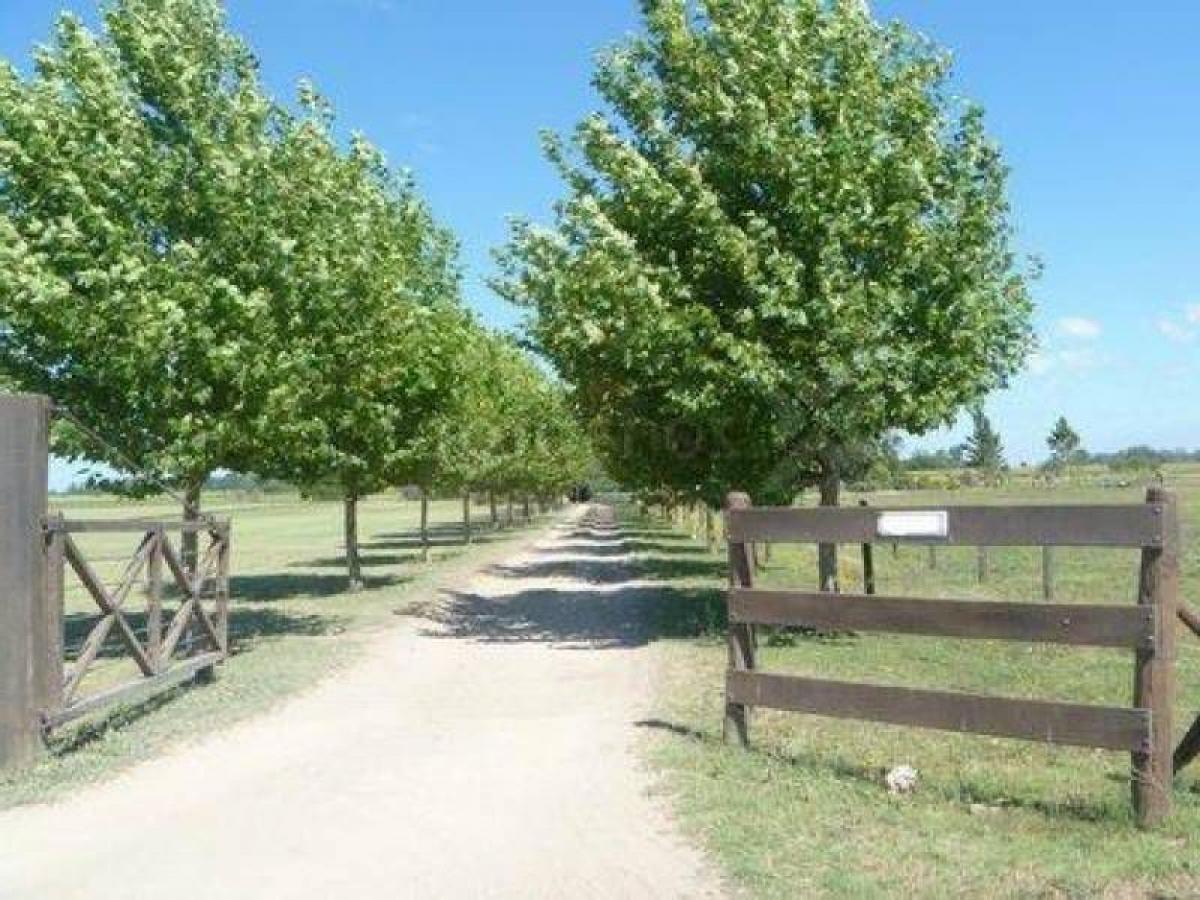 Picture of Residential Land For Sale in Capitan Sarmiento, Buenos Aires, Argentina