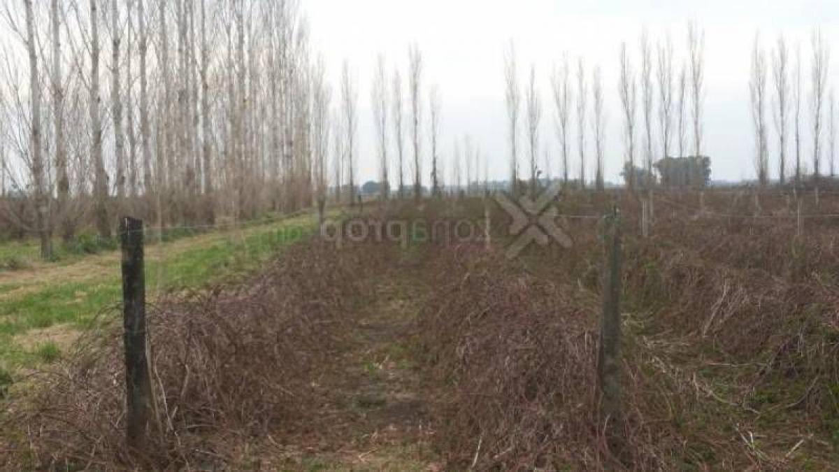 Picture of Home For Sale in San Miguel Del Monte, Buenos Aires, Argentina