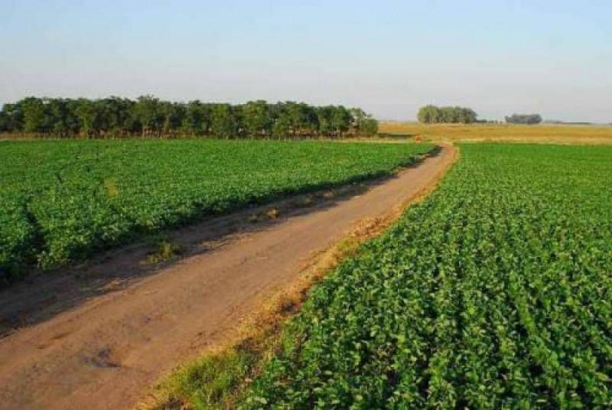 Picture of Home For Sale in Chacabuco, Buenos Aires, Argentina