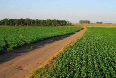 Home For Sale in Chacabuco, Argentina