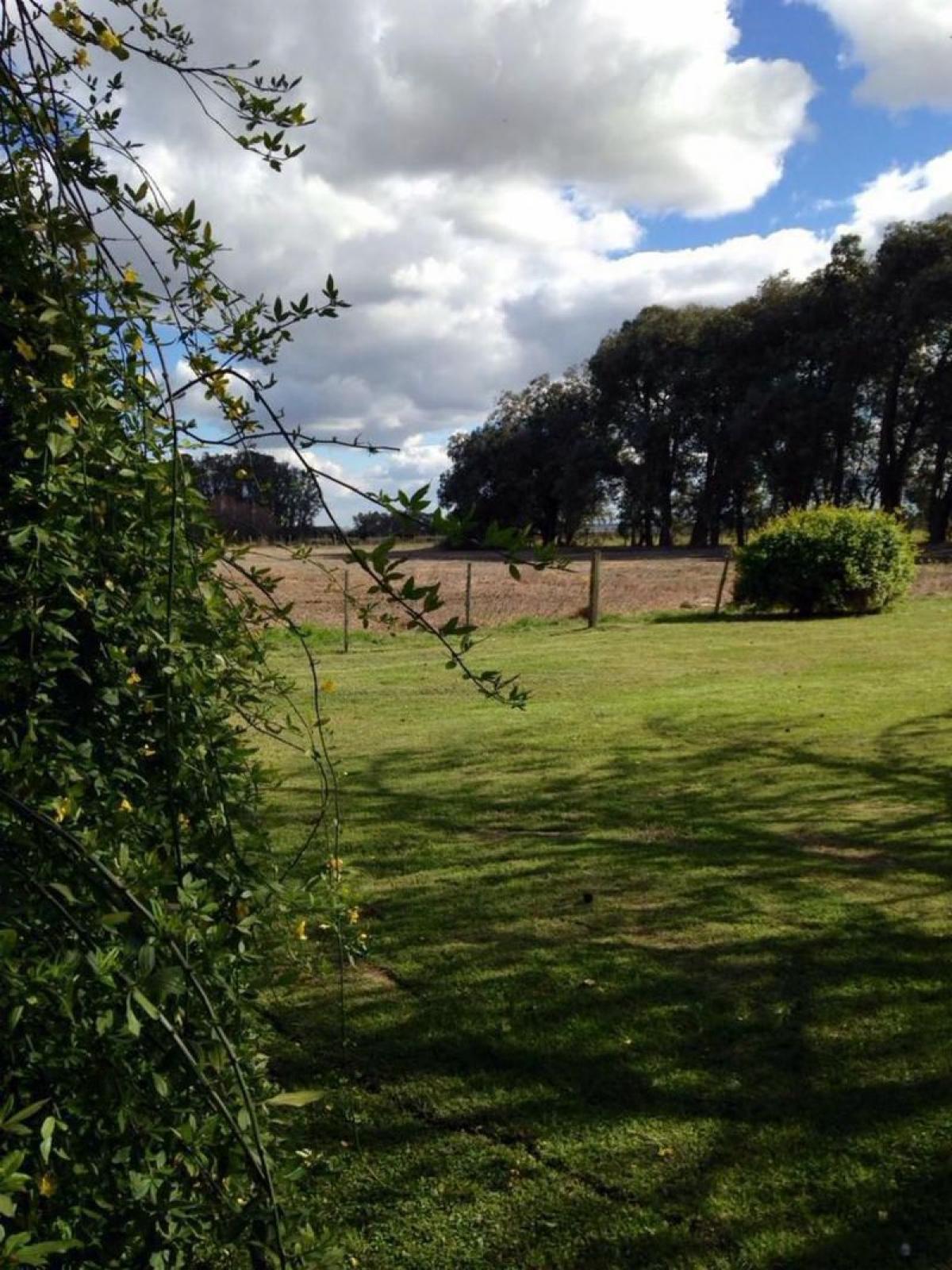 Picture of Farm For Sale in Buenos Aires Interior, Buenos Aires, Argentina