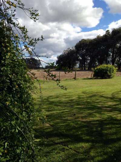 Farm For Sale in Buenos Aires Interior, Argentina