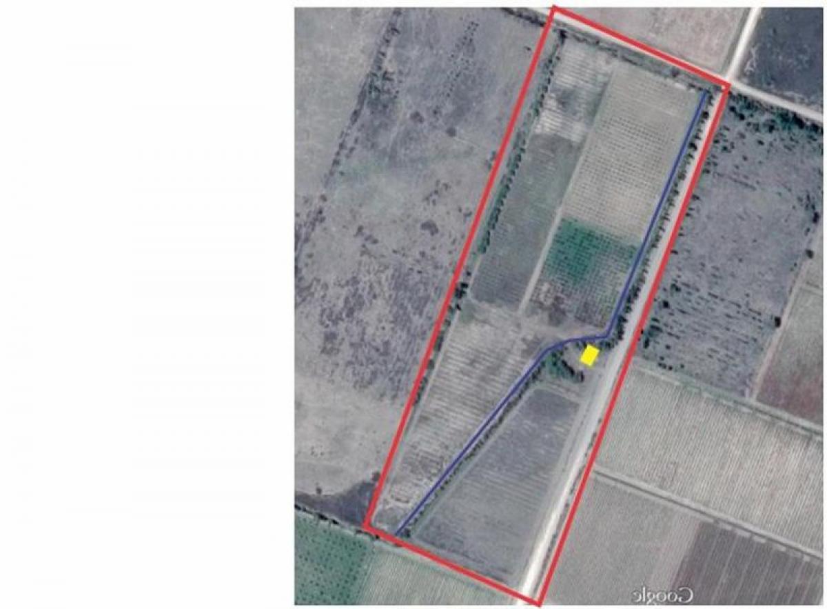 Picture of Farm For Sale in Mendoza, Mendoza, Argentina