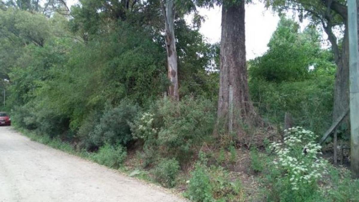 Picture of Residential Land For Sale in San Miguel, La Pampa, Argentina