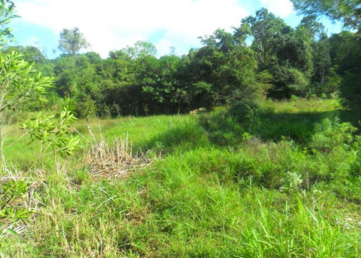 Picture of Farm For Sale in Misiones, Misiones, Argentina