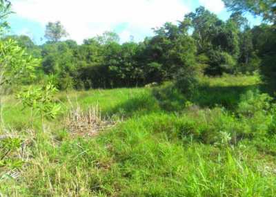 Farm For Sale in Misiones, Argentina
