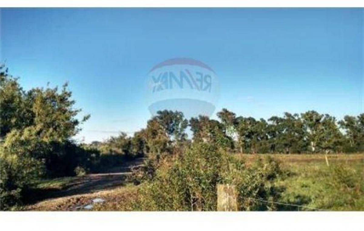 Picture of Farm For Sale in Tigre, Buenos Aires, Argentina