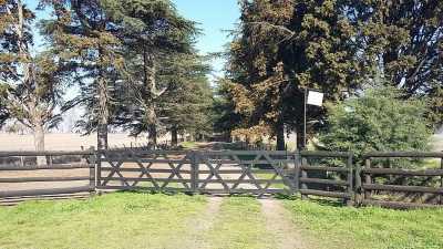 Home For Sale in Arrecifes, Argentina