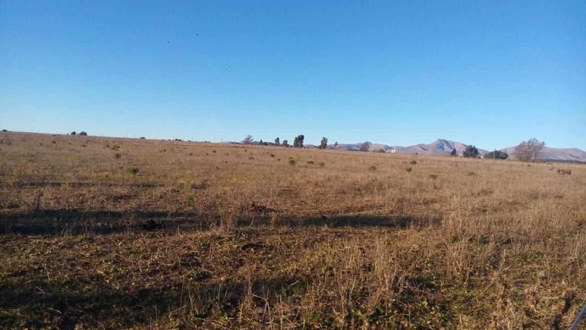 Picture of Residential Land For Sale in Tornquist, Buenos Aires, Argentina