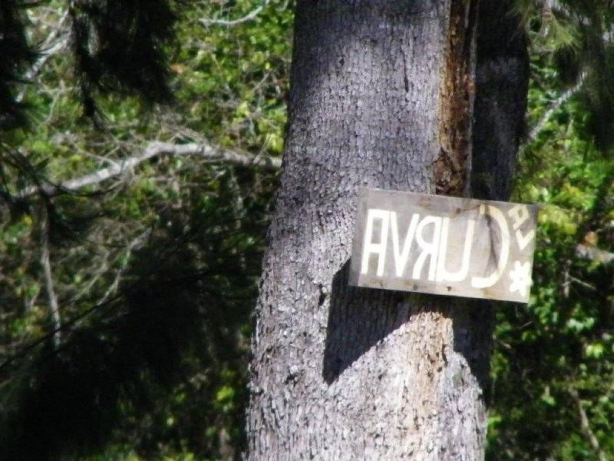 Picture of Home For Sale in San Fernando, Buenos Aires, Argentina