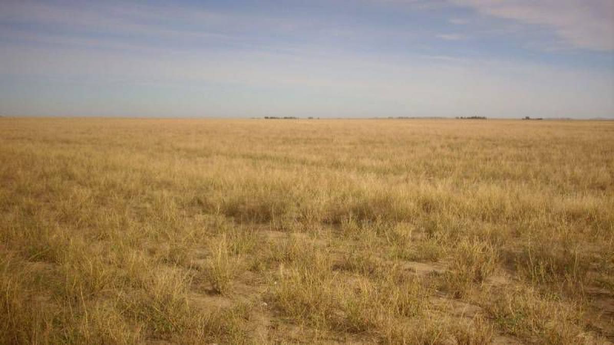 Picture of Home For Sale in Coronel Pringles, Buenos Aires, Argentina