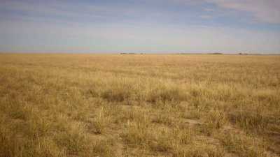 Home For Sale in Coronel Pringles, Argentina