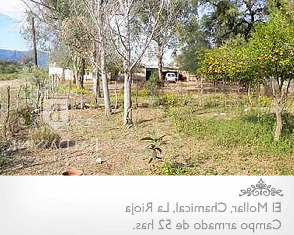 Picture of Home For Sale in La Rioja, La Rioja, Argentina