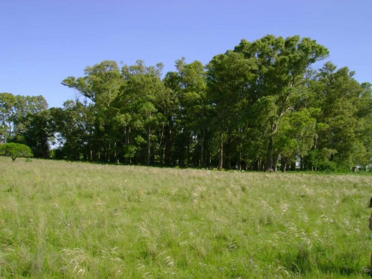 Picture of Home For Sale in Punta Indio, Buenos Aires, Argentina