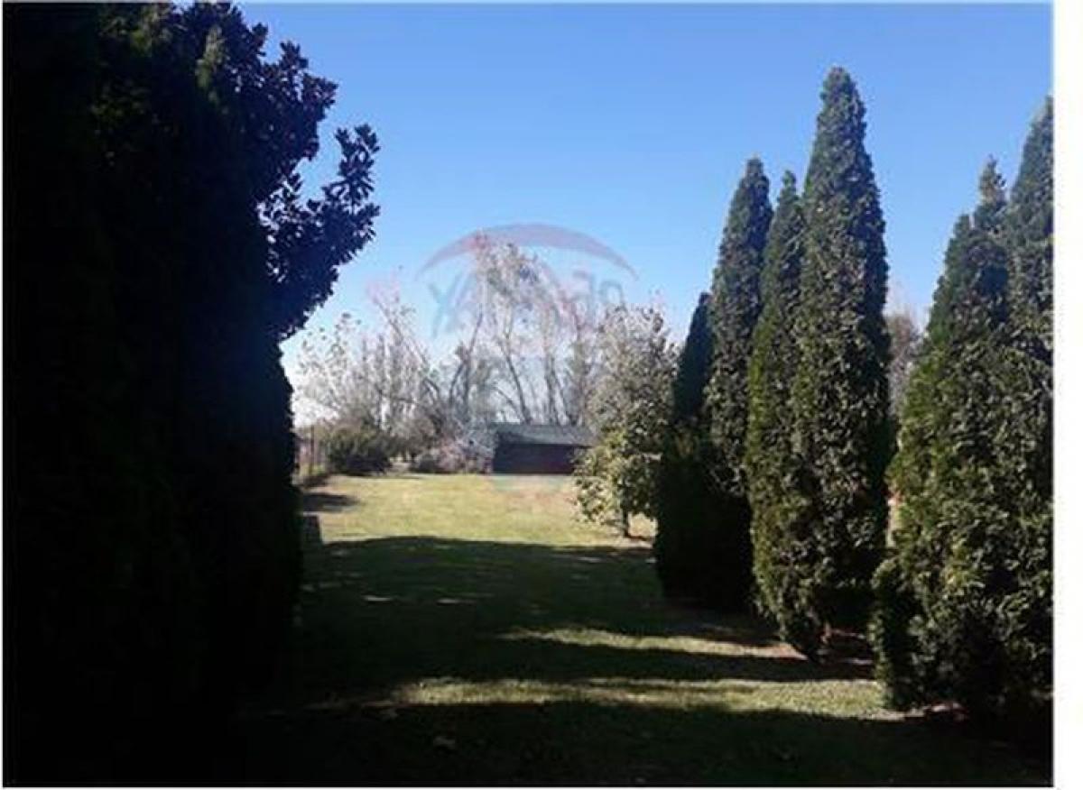 Picture of Farm For Sale in La Plata, Buenos Aires, Argentina