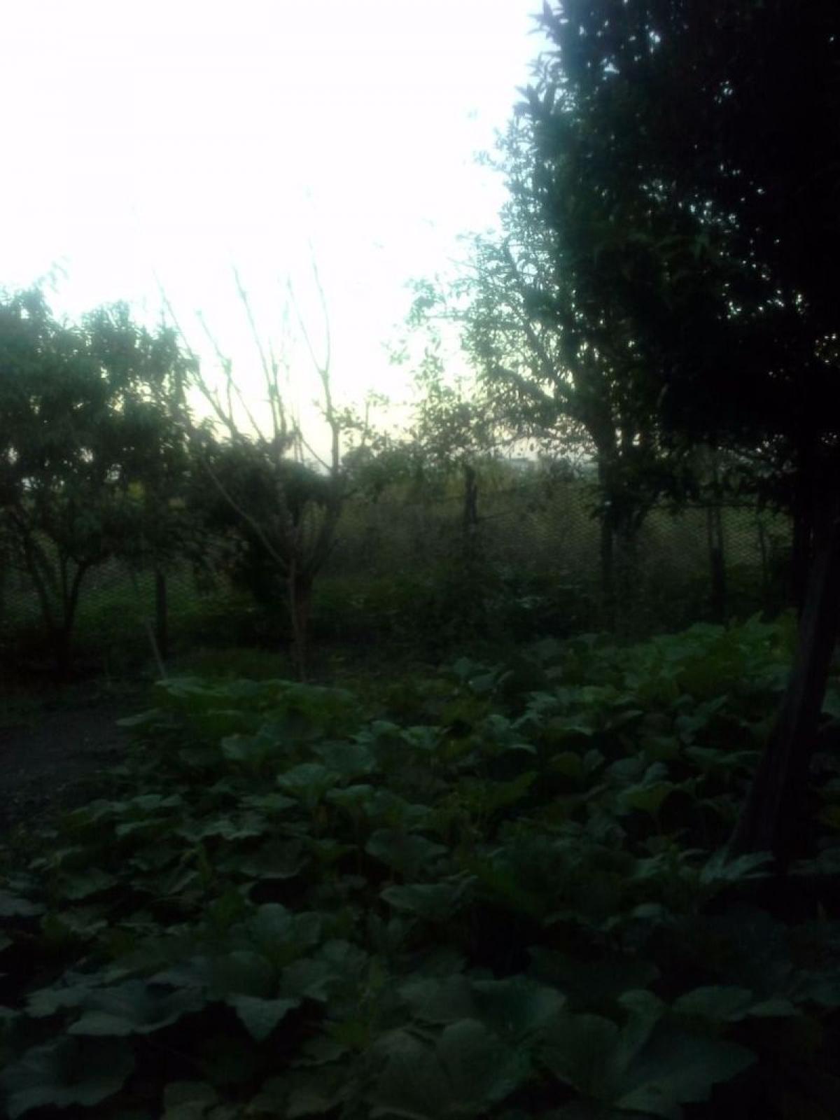 Picture of Residential Land For Sale in General Pueyrredon, Buenos Aires, Argentina