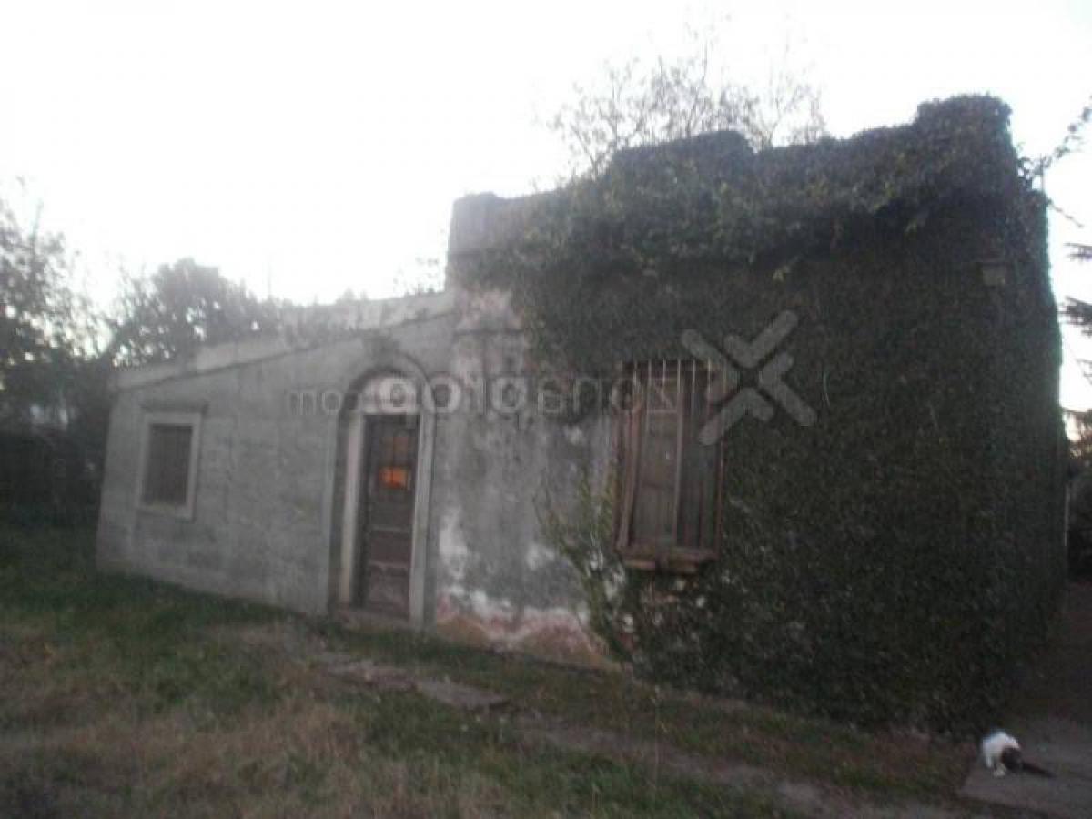 Picture of Farm For Sale in Almirante Brown, Distrito Federal, Argentina