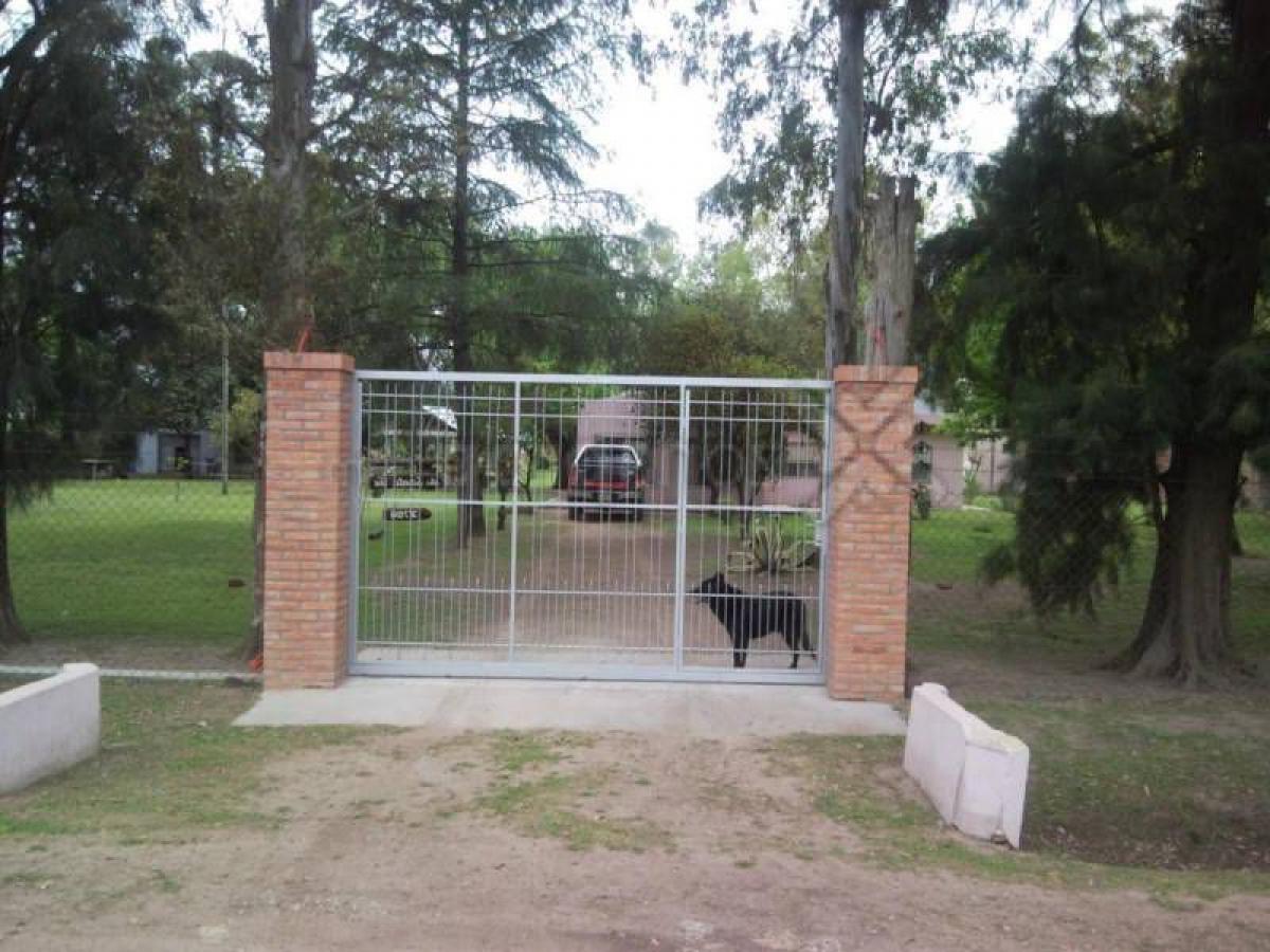 Picture of Farm For Sale in Almirante Brown, Distrito Federal, Argentina