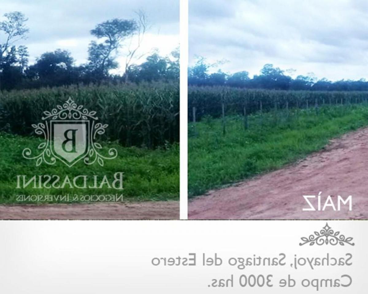 Picture of Home For Sale in Santiago Del Estero, Santiago del Estero, Argentina