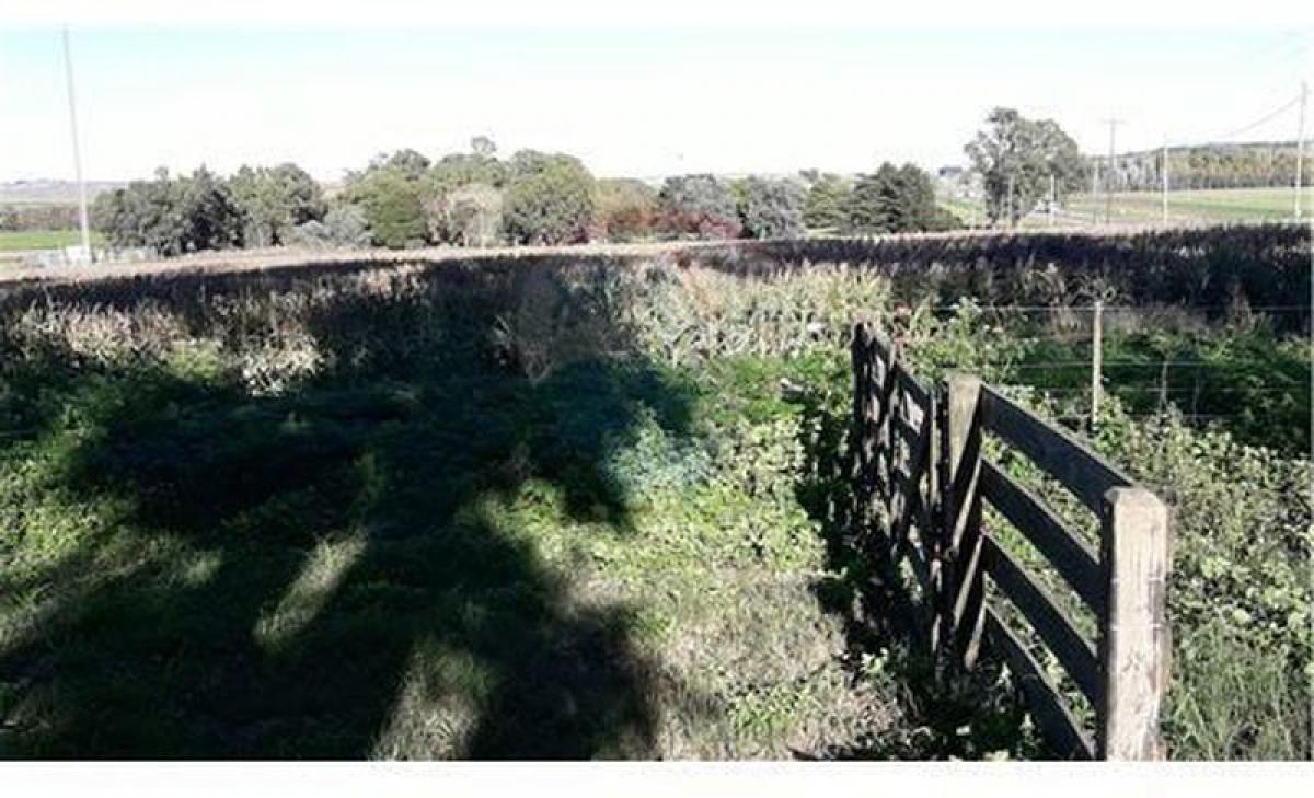 Picture of Residential Land For Sale in Tandil, Buenos Aires, Argentina