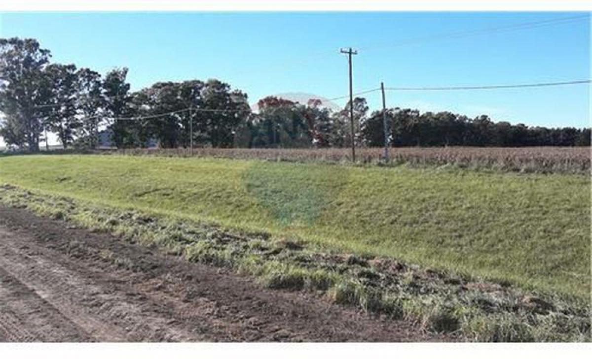 Picture of Residential Land For Sale in Tandil, Buenos Aires, Argentina