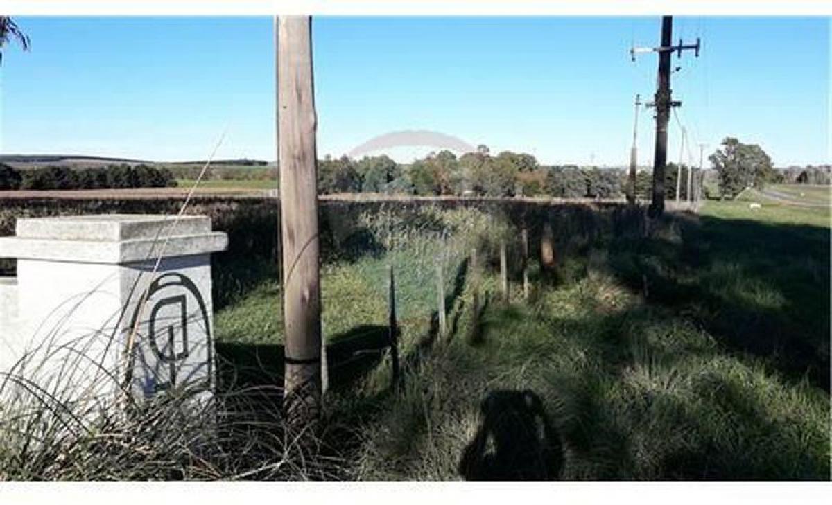 Picture of Residential Land For Sale in Tandil, Buenos Aires, Argentina