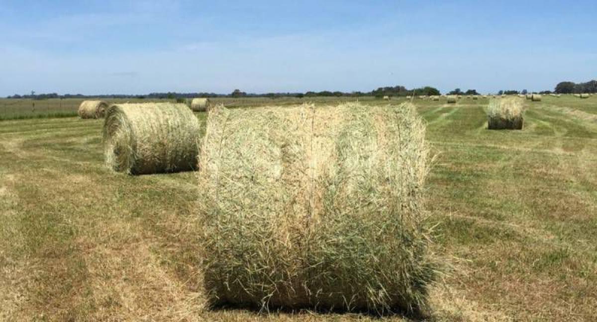 Picture of Home For Sale in Magdalena, Buenos Aires, Argentina