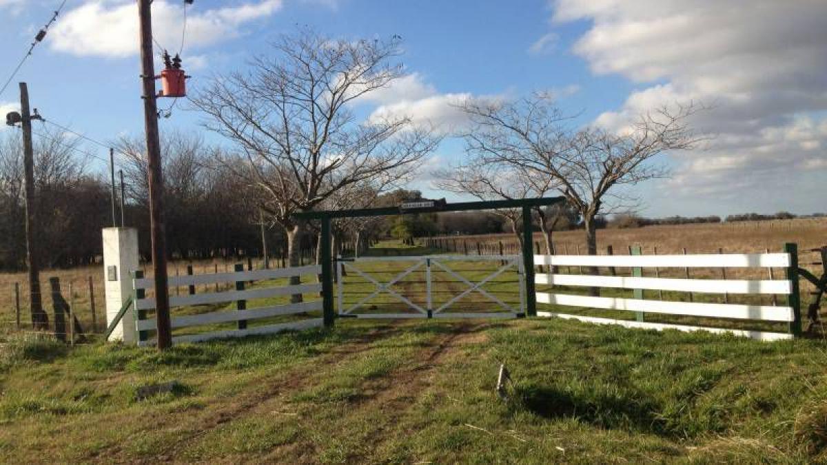 Picture of Home For Sale in Brandsen, Buenos Aires, Argentina