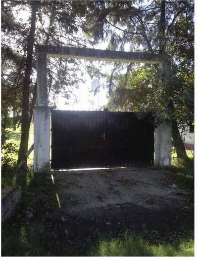 Farm For Sale in San Vicente, Argentina
