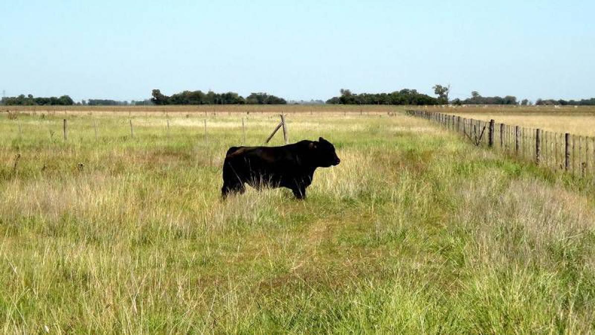 Picture of Home For Sale in Canuelas, Buenos Aires, Argentina