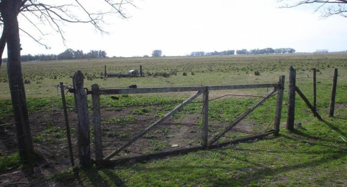 Picture of Home For Sale in Magdalena, Buenos Aires, Argentina