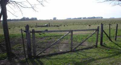 Home For Sale in Magdalena, Argentina