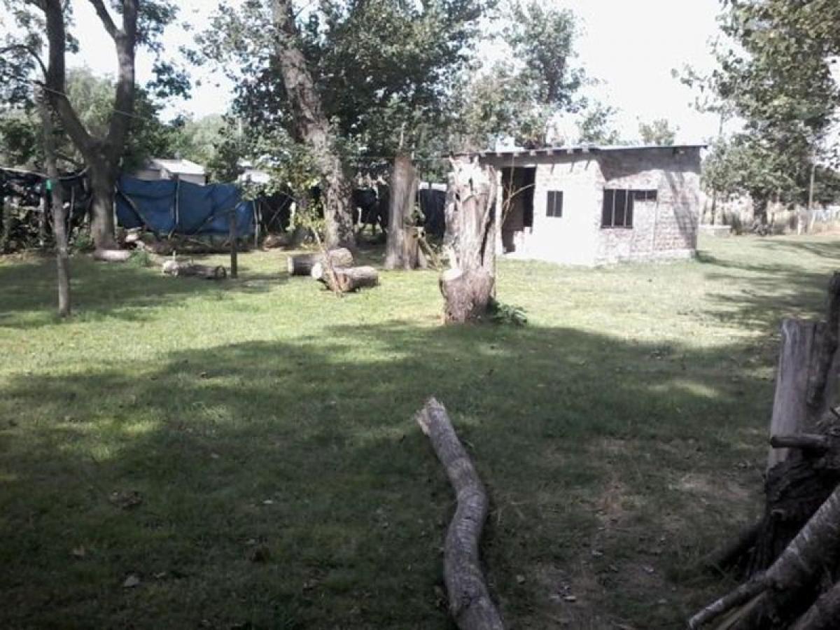 Picture of Farm For Sale in Presidente Peron, Buenos Aires, Argentina