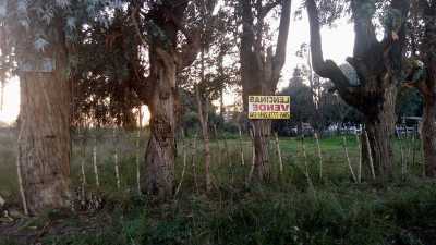 Home For Sale in Florencio Varela, Argentina