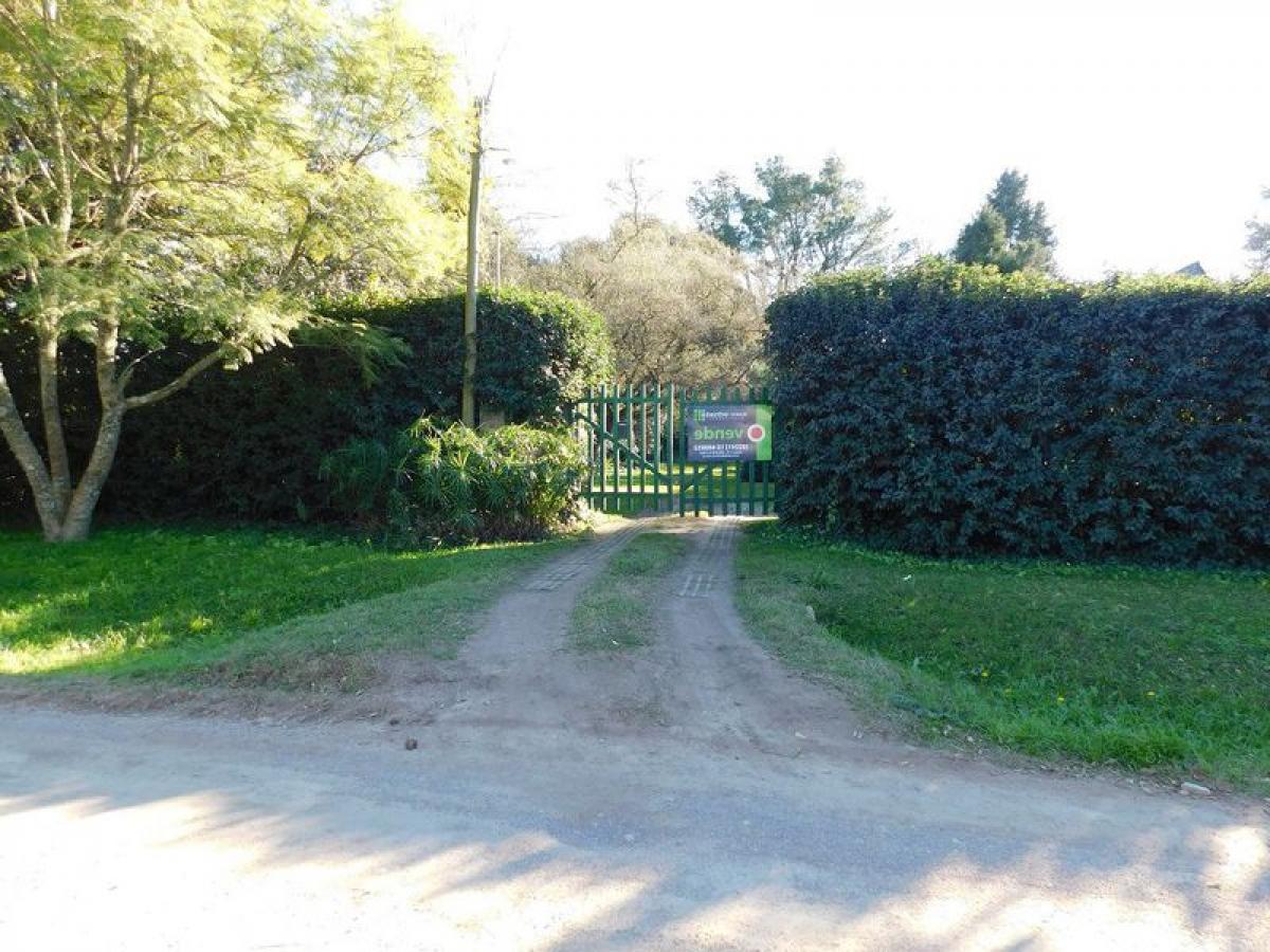 Picture of Farm For Sale in Chascomus, Buenos Aires, Argentina