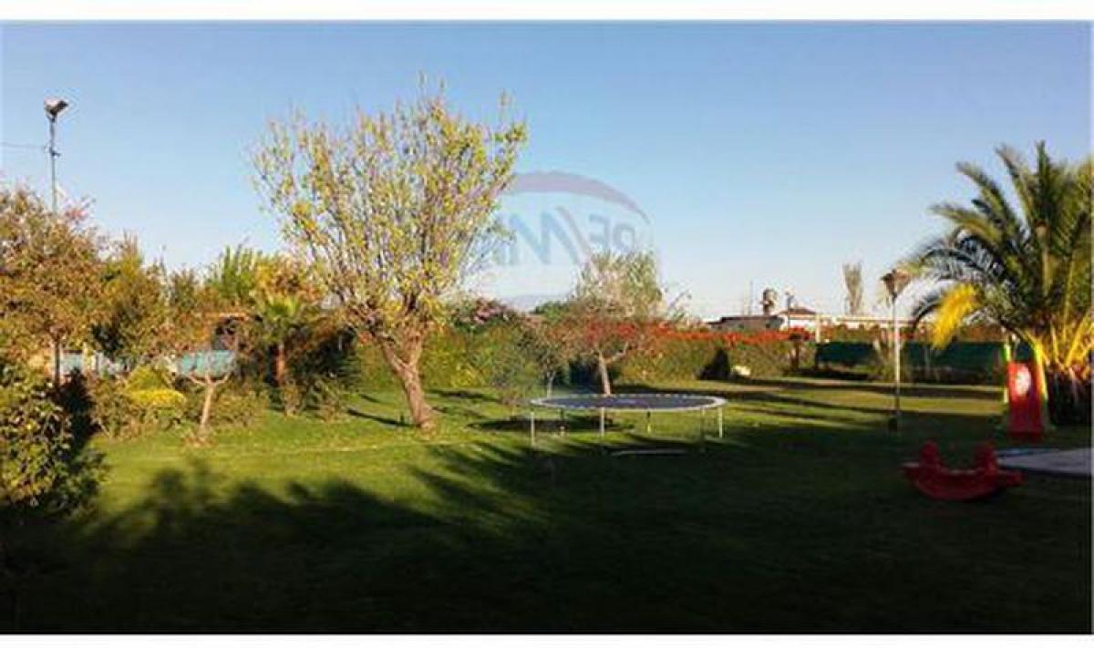Picture of Farm For Sale in Mendoza, Mendoza, Argentina