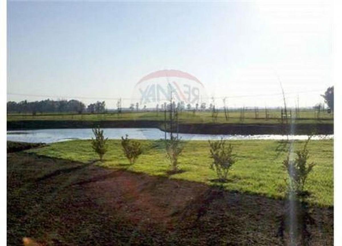 Picture of Residential Land For Sale in San Vicente, Buenos Aires, Argentina